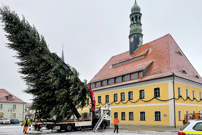 Aufrichten des Baumes vorm Rathaus Aufrichten des Baumes vorm Rathaus