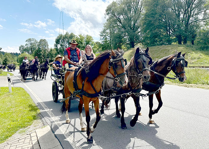 Marco Rinke mit seinem Kremser zur Kutschenrundfahrt 2024 Marco Rinke mit seinem Kremser zur Kutschenrundfahrt 2024