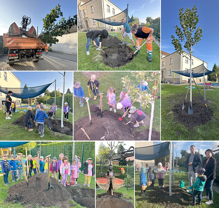 Baumpflanzchallenge  Baumpflanzchallenge