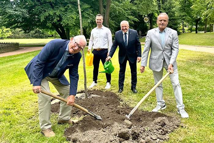 Baumpflanzen im Arthur-Richter-Park Baumpflanzen im Arthur-Richter-Park