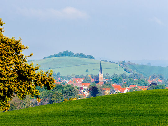 Blick auf Neustadt in Sachsen