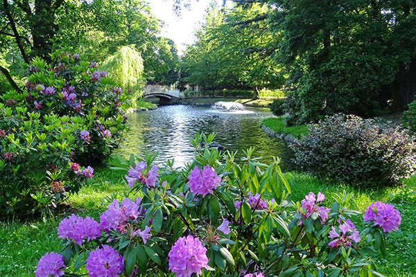 Arthur-Richter-Park